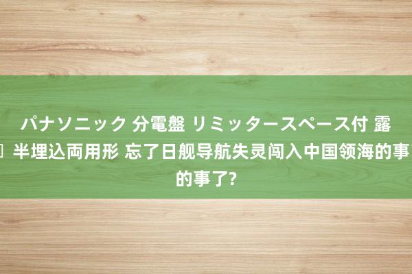 パナソニック 分電盤 リミッタースペース付 露出・半埋込両用形 忘了日舰导航失灵闯入中国领海的事了?