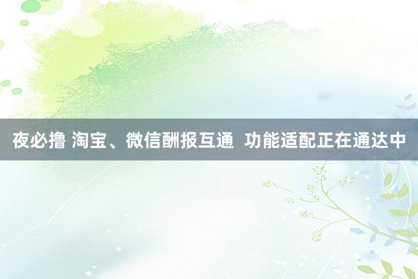 夜必撸 淘宝、微信酬报互通  功能适配正在通达中