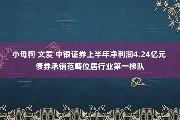 小母狗 文爱 中银证券上半年净利润4.24亿元 债券承销范畴位居行业第一梯队