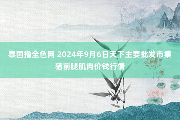 泰国撸全色网 2024年9月6日天下主要批发市集猪前腿肌肉价钱行情