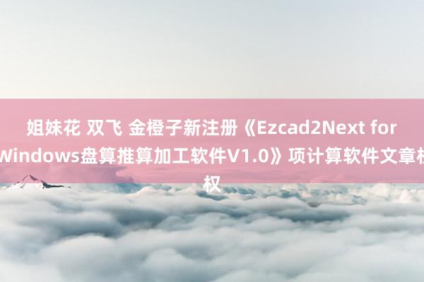 姐妹花 双飞 金橙子新注册《Ezcad2Next for Windows盘算推算加工软件V1.0》项计算软件文章权