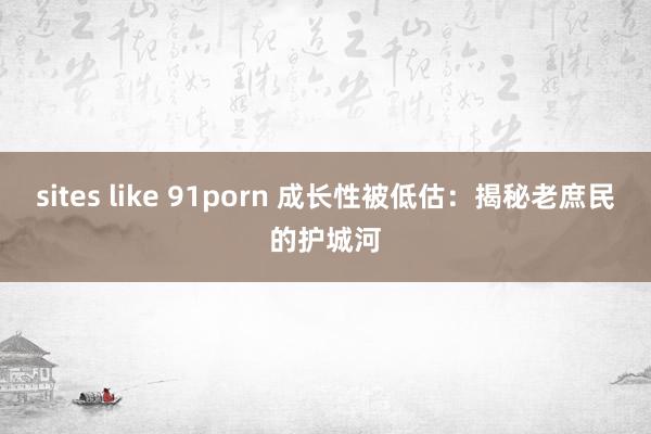 sites like 91porn 成长性被低估：揭秘老庶民的护城河