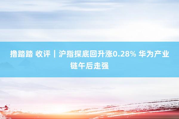 撸踏踏 收评｜沪指探底回升涨0.28% 华为产业链午后走强