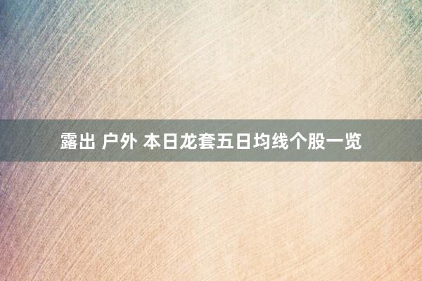 露出 户外 本日龙套五日均线个股一览