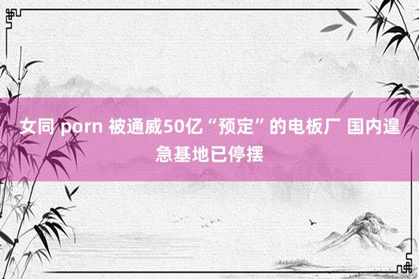 女同 porn 被通威50亿“预定”的电板厂 国内遑急基地已停摆