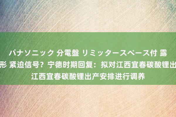 パナソニック 分電盤 リミッタースペース付 露出・半埋込両用形 紧迫信号？宁德时期回复：拟对江西宜春碳酸锂出产安排进行调养