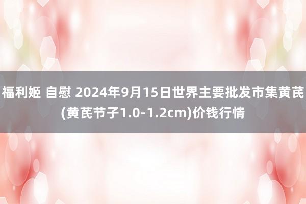 福利姬 自慰 2024年9月15日世界主要批发市集黄芪(黄芪节子1.0-1.2cm)价钱行情