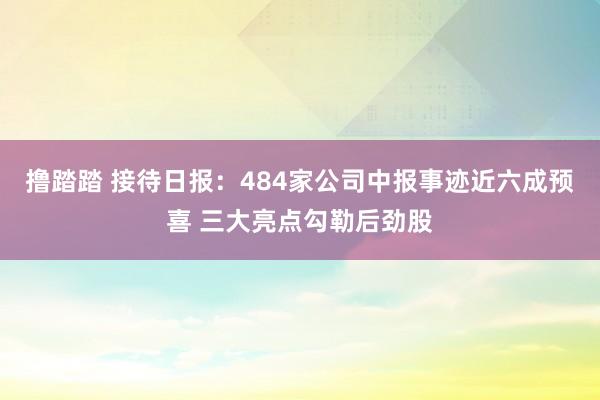 撸踏踏 接待日报：484家公司中报事迹近六成预喜 三大亮点勾勒后劲股