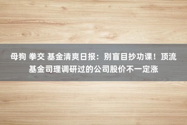 母狗 拳交 基金清爽日报：别盲目抄功课！顶流基金司理调研过的公司股价不一定涨