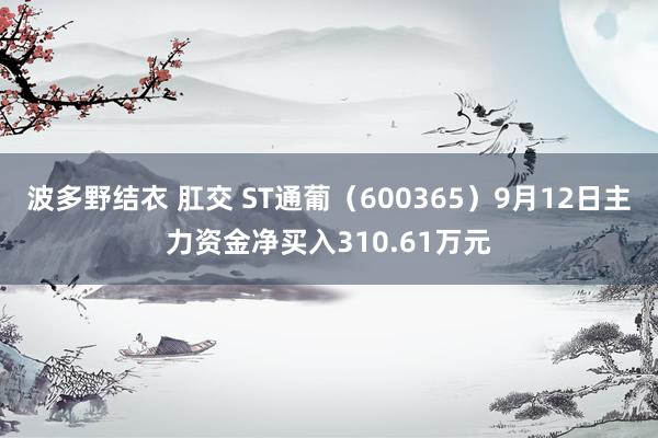 波多野结衣 肛交 ST通葡（600365）9月12日主力资金净买入310.61万元