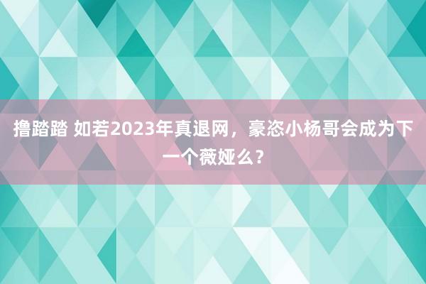 撸踏踏 如若2023年真退网，豪恣小杨哥会成为下一个薇娅么？