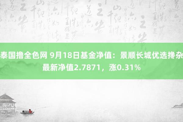 泰国撸全色网 9月18日基金净值：景顺长城优选搀杂最新净值2.7871，涨0.31%