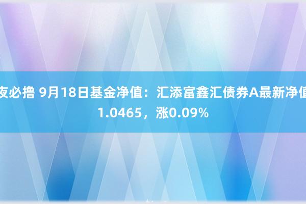 夜必撸 9月18日基金净值：汇添富鑫汇债券A最新净值1.0465，涨0.09%