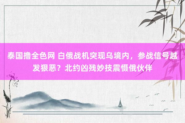 泰国撸全色网 白俄战机突现乌境内，参战信号越发狠恶？北约凶残妙技震慑俄伙伴