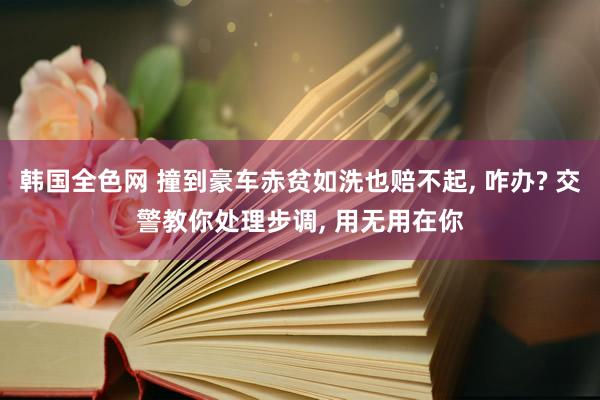 韩国全色网 撞到豪车赤贫如洗也赔不起， 咋办? 交警教你处理步调， 用无用在你