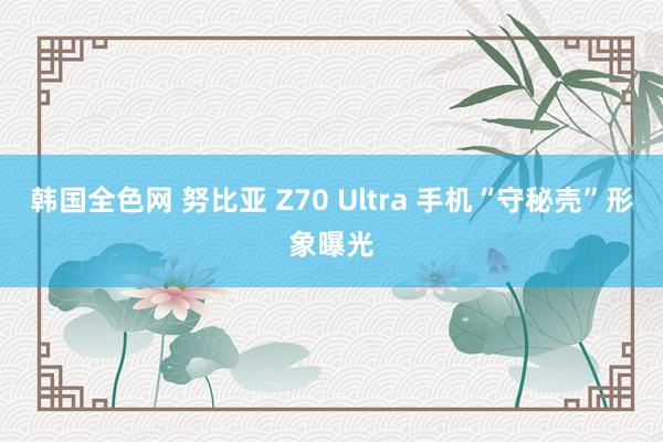 韩国全色网 努比亚 Z70 Ultra 手机“守秘壳”形象曝光