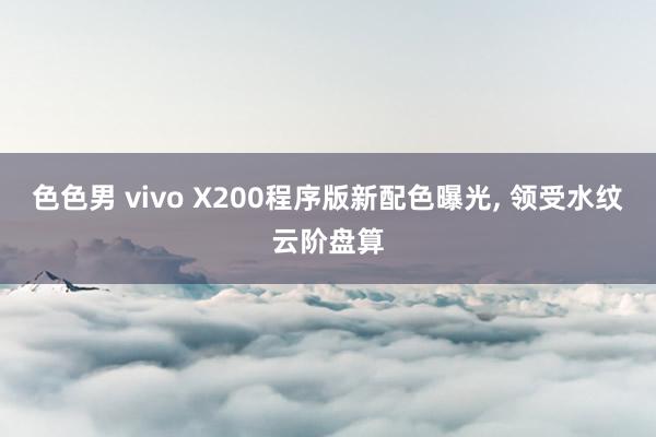 色色男 vivo X200程序版新配色曝光， 领受水纹云阶盘算