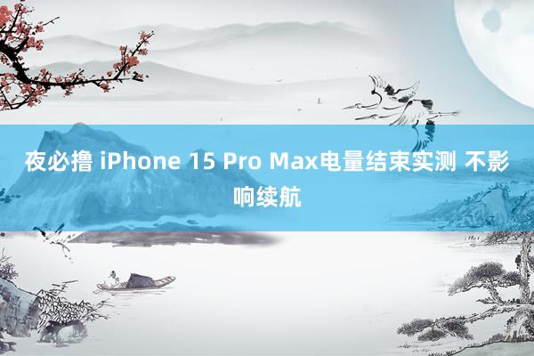 夜必撸 iPhone 15 Pro Max电量结束实测 不影响续航