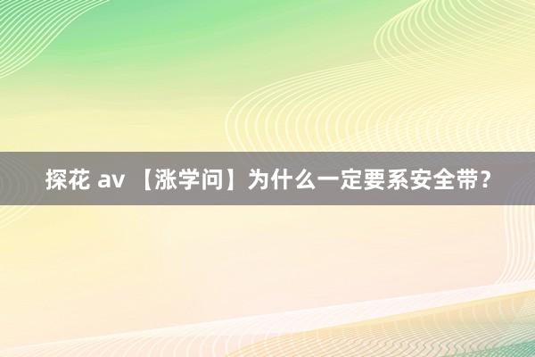 探花 av 【涨学问】为什么一定要系安全带？