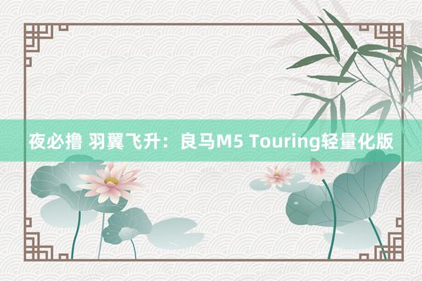 夜必撸 羽翼飞升：良马M5 Touring轻量化版