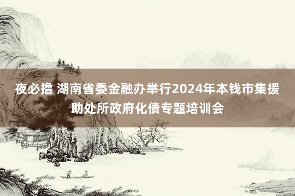 夜必撸 湖南省委金融办举行2024年本钱市集援助处所政府化债专题培训会