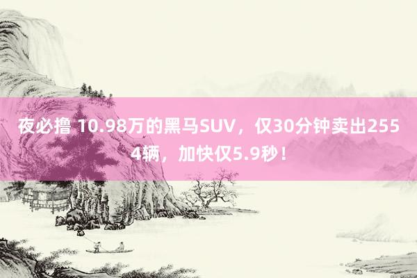 夜必撸 10.98万的黑马SUV，仅30分钟卖出2554辆，加快仅5.9秒！