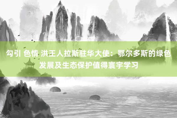 勾引 色情 洪王人拉斯驻华大使：鄂尔多斯的绿色发展及生态保护值得寰宇学习