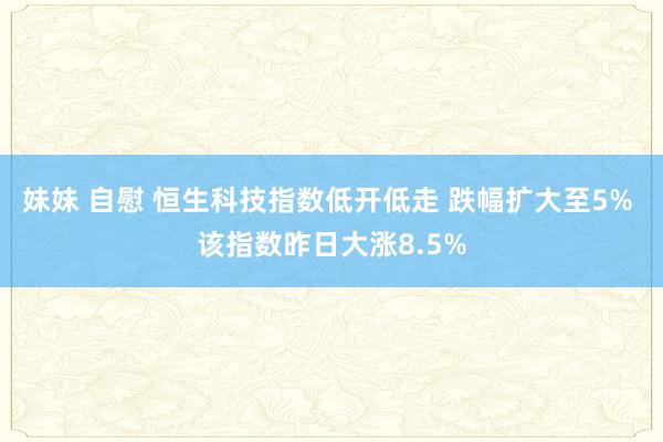 妹妹 自慰 恒生科技指数低开低走 跌幅扩大至5% 该指数昨日大涨8.5%