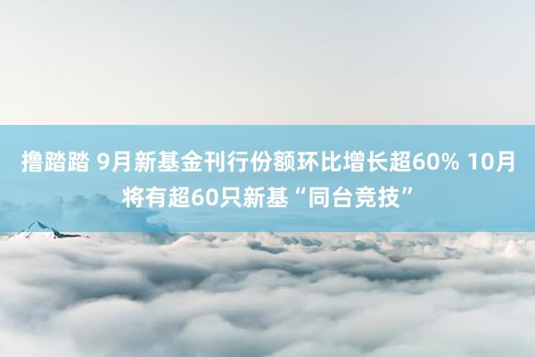 撸踏踏 9月新基金刊行份额环比增长超60% 10月将有超60只新基“同台竞技”