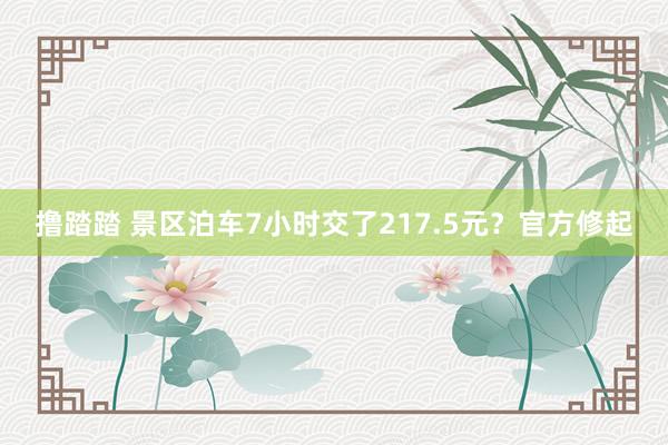 撸踏踏 景区泊车7小时交了217.5元？官方修起