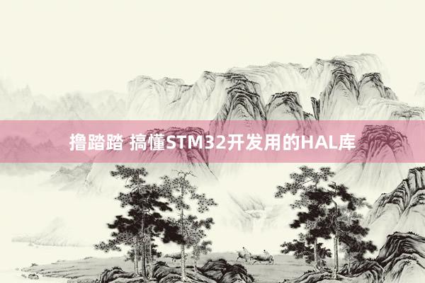 撸踏踏 搞懂STM32开发用的HAL库