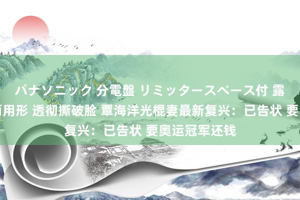 パナソニック 分電盤 リミッタースペース付 露出・半埋込両用形 透彻撕破脸 覃海洋光棍妻最新复兴：已告状 要奥运冠军还钱