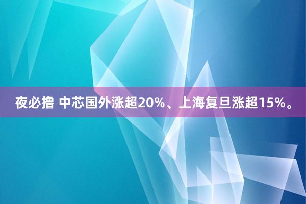 夜必撸 中芯国外涨超20%、上海复旦涨超15%。