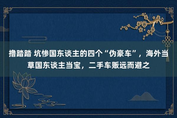 撸踏踏 坑惨国东谈主的四个“伪豪车”，海外当草国东谈主当宝，二手车贩远而避之