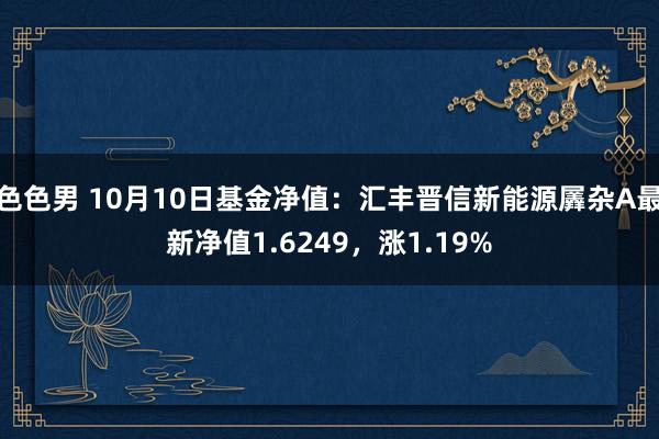 色色男 10月10日基金净值：汇丰晋信新能源羼杂A最新净值1.6249，涨1.19%