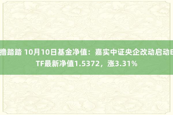 撸踏踏 10月10日基金净值：嘉实中证央企改动启动ETF最新净值1.5372，涨3.31%