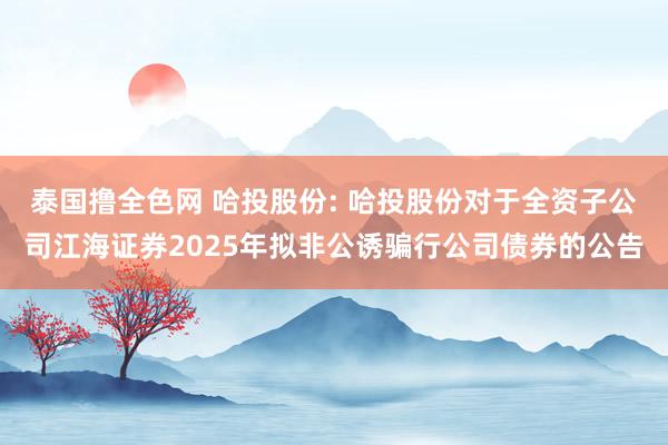 泰国撸全色网 哈投股份: 哈投股份对于全资子公司江海证券2025年拟非公诱骗行公司债券的公告