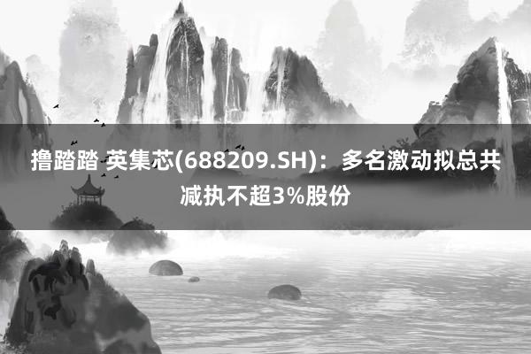 撸踏踏 英集芯(688209.SH)：多名激动拟总共减执不超3%股份