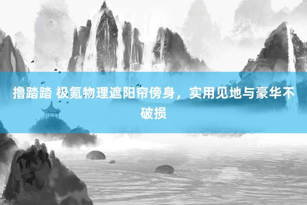 撸踏踏 极氪物理遮阳帘傍身，实用见地与豪华不破损