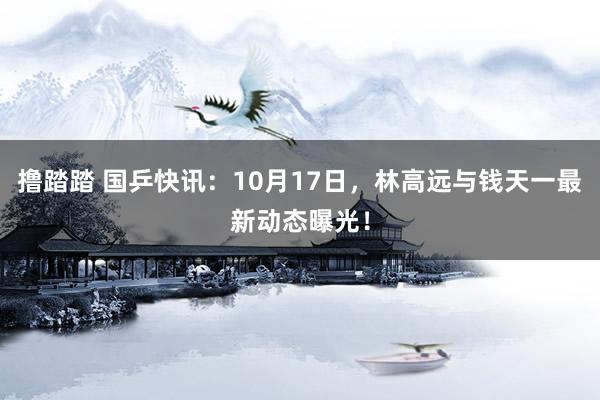 撸踏踏 国乒快讯：10月17日，林高远与钱天一最新动态曝光！