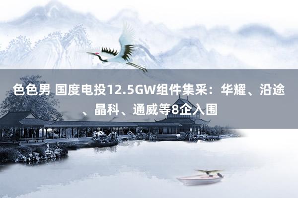 色色男 国度电投12.5GW组件集采：华耀、沿途、晶科、通威等8企入围