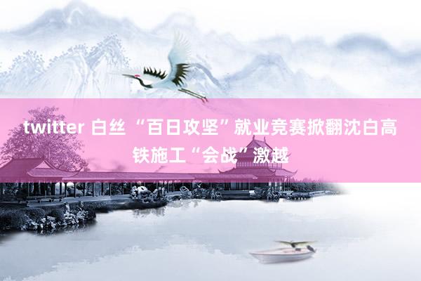 twitter 白丝 “百日攻坚”就业竞赛掀翻沈白高铁施工“会战”激越