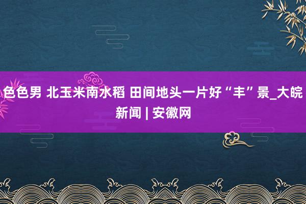 色色男 北玉米南水稻 田间地头一片好“丰”景_大皖新闻 | 安徽网