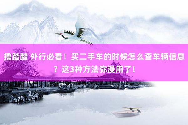 撸踏踏 外行必看！买二手车的时候怎么查车辆信息？这3种方法弥漫用了！