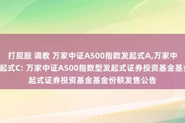 打屁股 调教 万家中证A500指数发起式A，万家中证A500指数发起式C: 万家中证A500指数型发起式证券投资基金基金份额发售公告