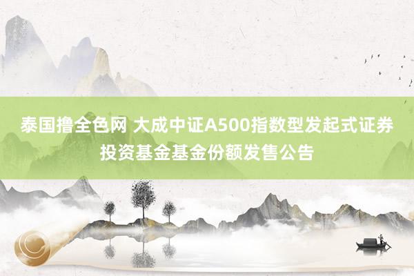 泰国撸全色网 大成中证A500指数型发起式证券投资基金基金份额发售公告