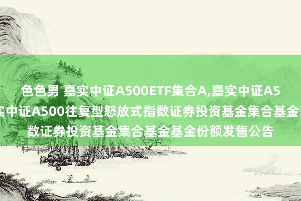 色色男 嘉实中证A500ETF集合A，嘉实中证A500ETF集合C: 嘉实中证A500往复型怒放式指数证券投资基金集合基金基金份额发售公告