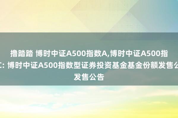 撸踏踏 博时中证A500指数A，博时中证A500指数C: 博时中证A500指数型证券投资基金基金份额发售公告