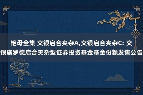 艳母全集 交银启合夹杂A，交银启合夹杂C: 交银施罗德启合夹杂型证券投资基金基金份额发售公告