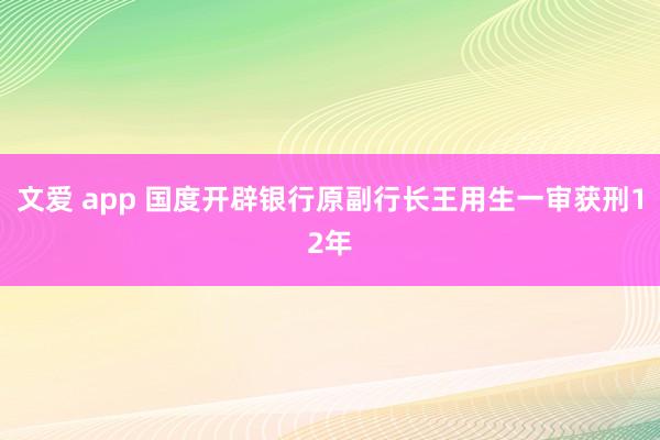 文爱 app 国度开辟银行原副行长王用生一审获刑12年